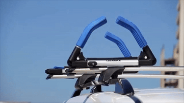 Lockrack Surf/Mal/Nipper